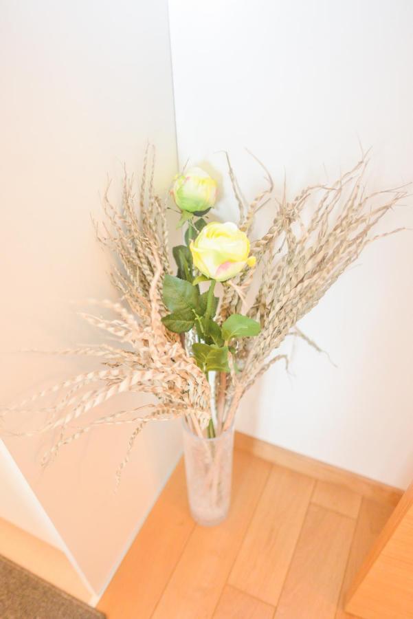 Apartment Aida Dida